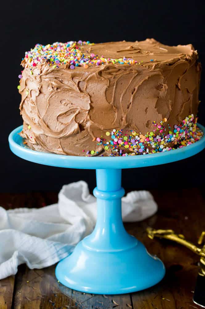 24 Amazing Birthday Cake Recipes You Will Love - All in All