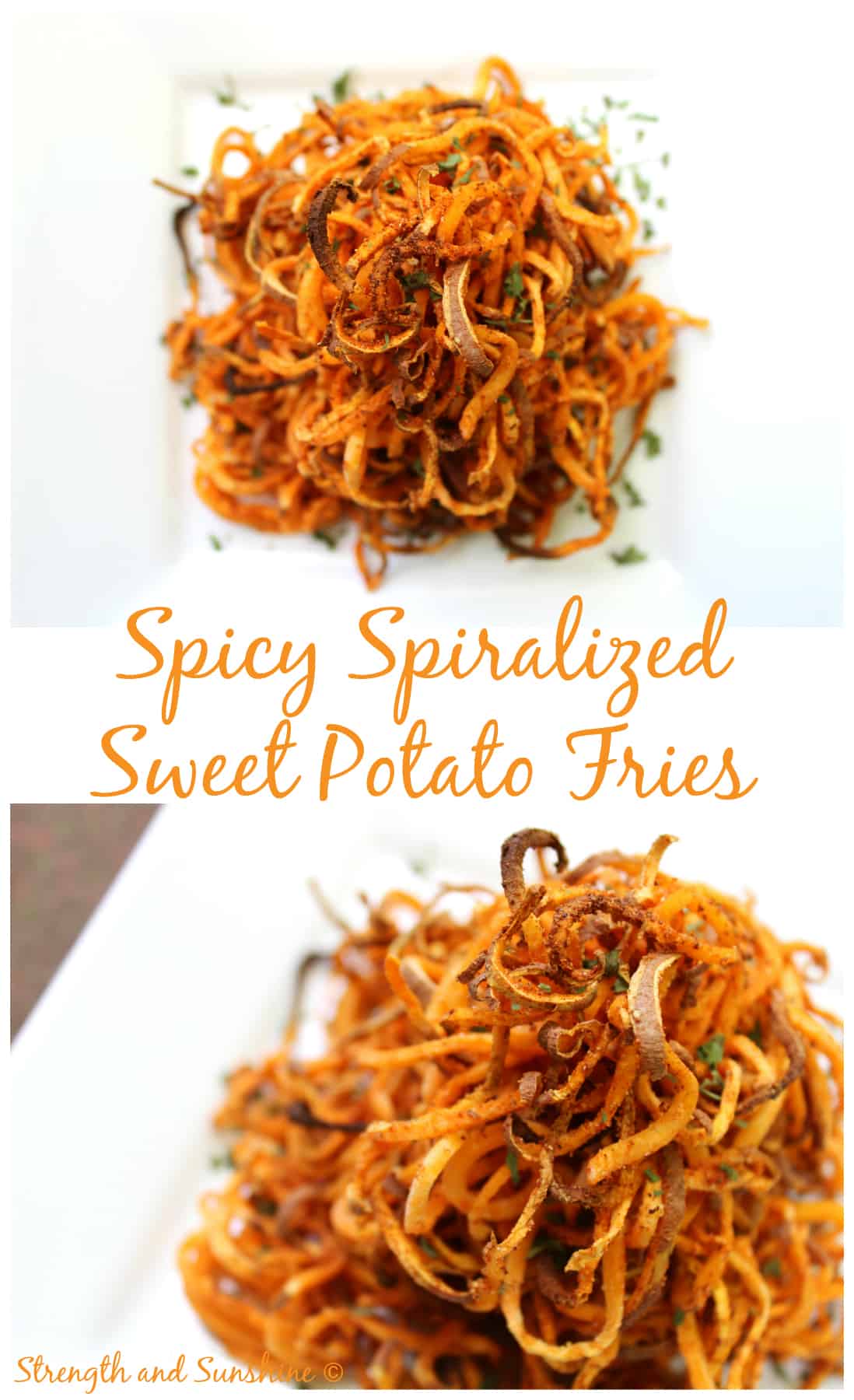 Spicy-Spiralized-Sweet-Potato-Fries-PM