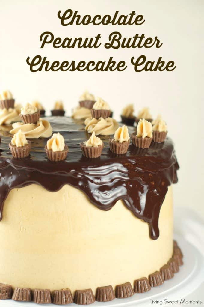 chocolate-peanut-butter-cheesecake-cake-cover