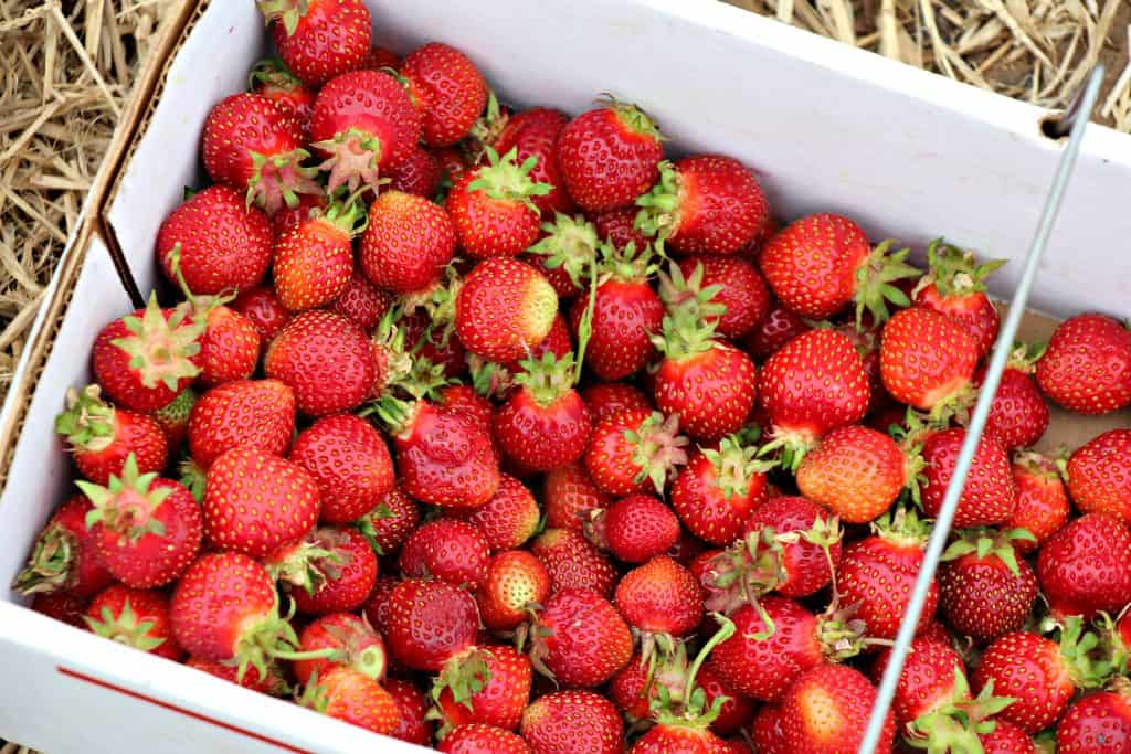 Strawberry Freezer Jam