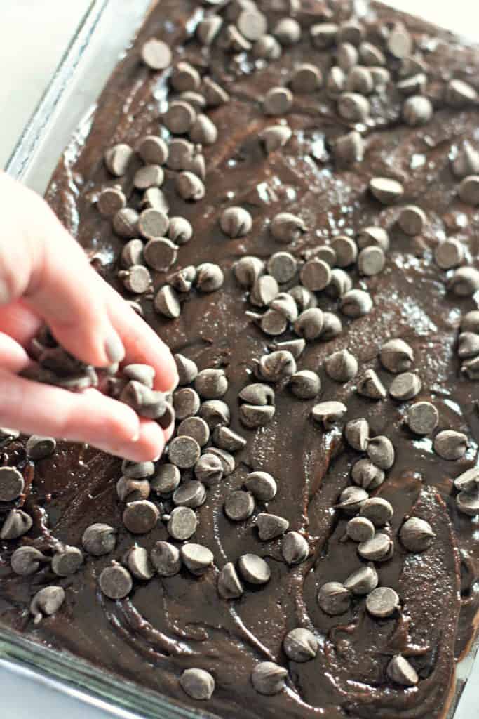 Rich and Fudgy Brownies